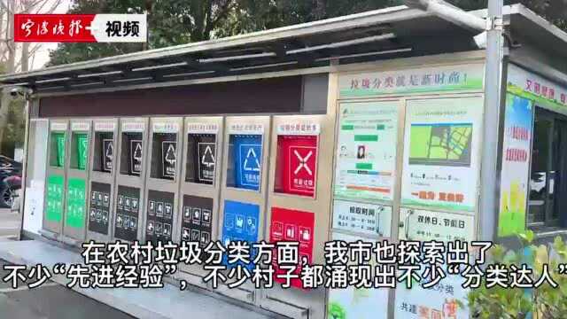 宁波这五地上榜省级垃圾分类处理优胜榜单