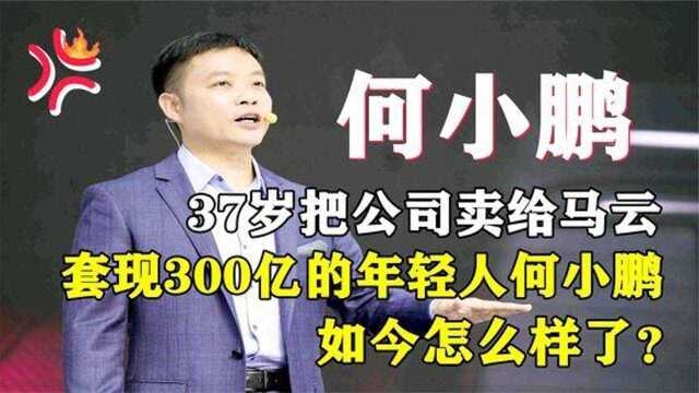 37岁把公司卖给马云,套现300亿的何小鹏,现在咋样了