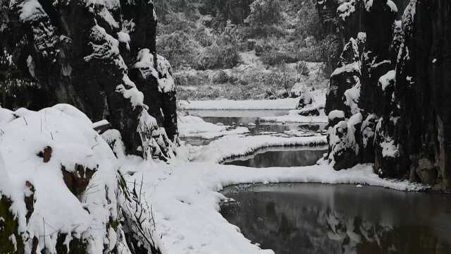 雪还在下,带你赏湘西最美盆景石林