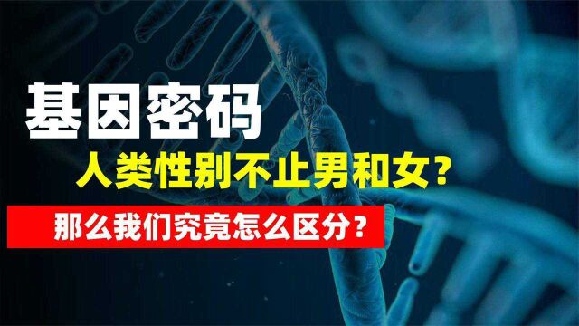 人类性别不止男和女?基因研究结果令人震惊,那么究竟怎么区分?