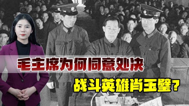 从百战功臣沦为阶下囚,肖玉璧被判枪决后,毛主席问:他服不服?