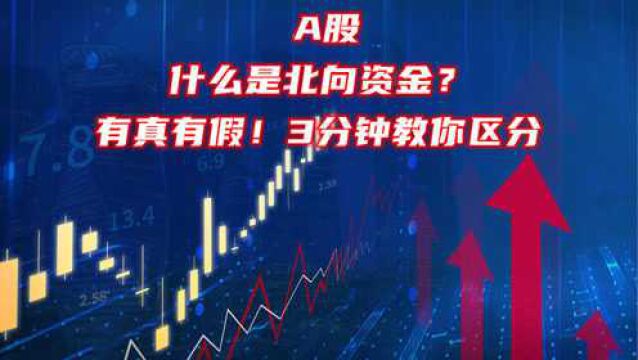 A股:什么是北向资金?有真有假!3分钟教你区分,做到10倍价值股