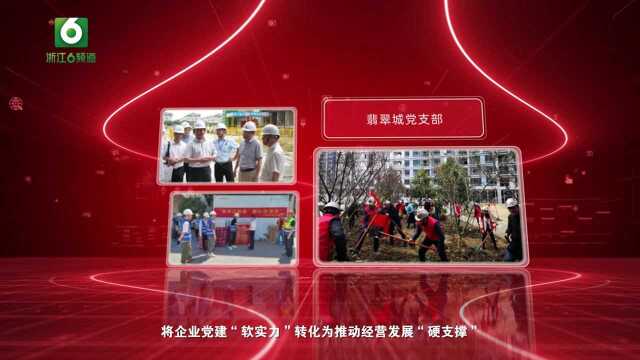 浙江省交投地产集团有限公司翡翠城党支部:“五彩行动”攻克混合所有制企业党建工作“四大难题” 