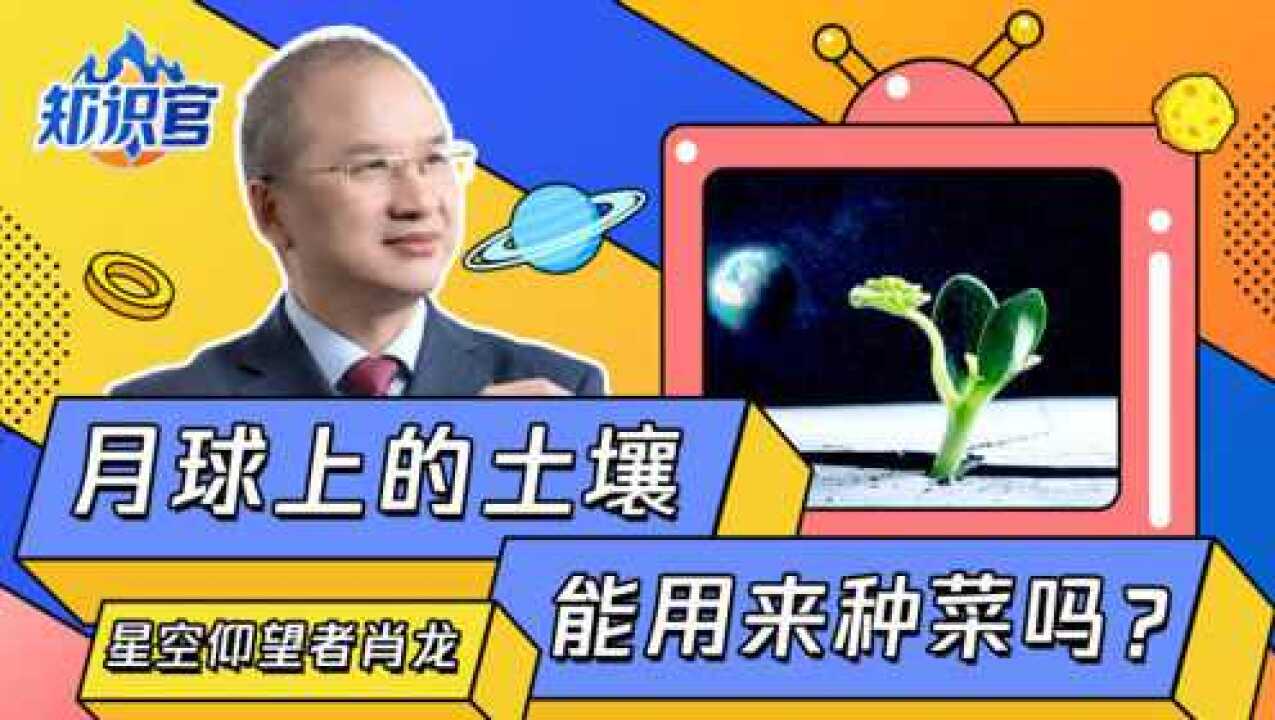 月球土壤与地球土壤有啥不同?能直接用来种菜吗?