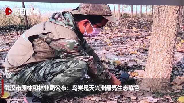 湖北又有3个湿地公园加入“国家队”