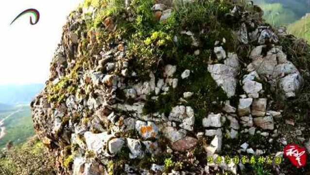 【短视频】青春令居 • 浪漫永登——吐鲁沟国家森林公园