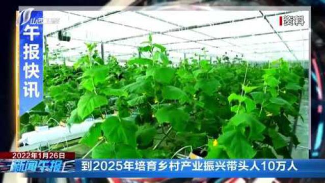 到2025年培育乡村产业振兴带头人10万人