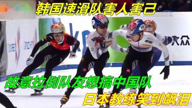 韩国短道速滑害人害己,故意拉倒队友想搞中国队,日本教练笑泪了