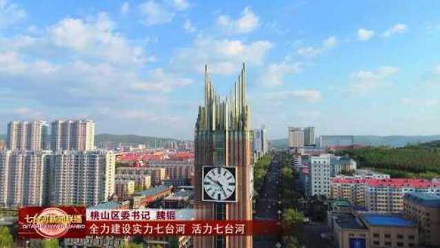 桃山区:锚定蓝图踏新程 踔厉奋发谱新篇