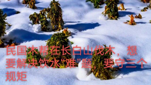 民国木帮在长白山伐木,想要解决饮水“难”题,要守三个规矩