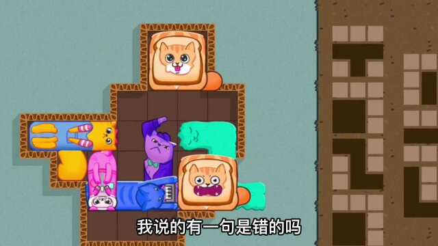 猫咪挤一挤:小黄兄弟俩上学快迟到了,连发型都来不及整理了!