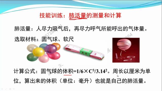 4.3.2.2肺泡与血液的气体交换