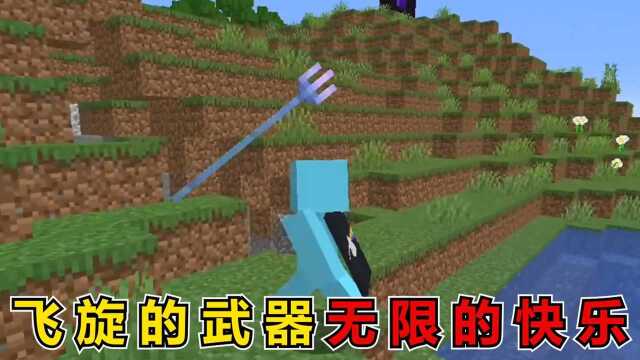 我的世界:飞旋的武器,无限的快乐