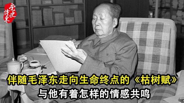 伴随毛泽东走向生命终点的《枯树赋》,与他有着怎样的情感共鸣