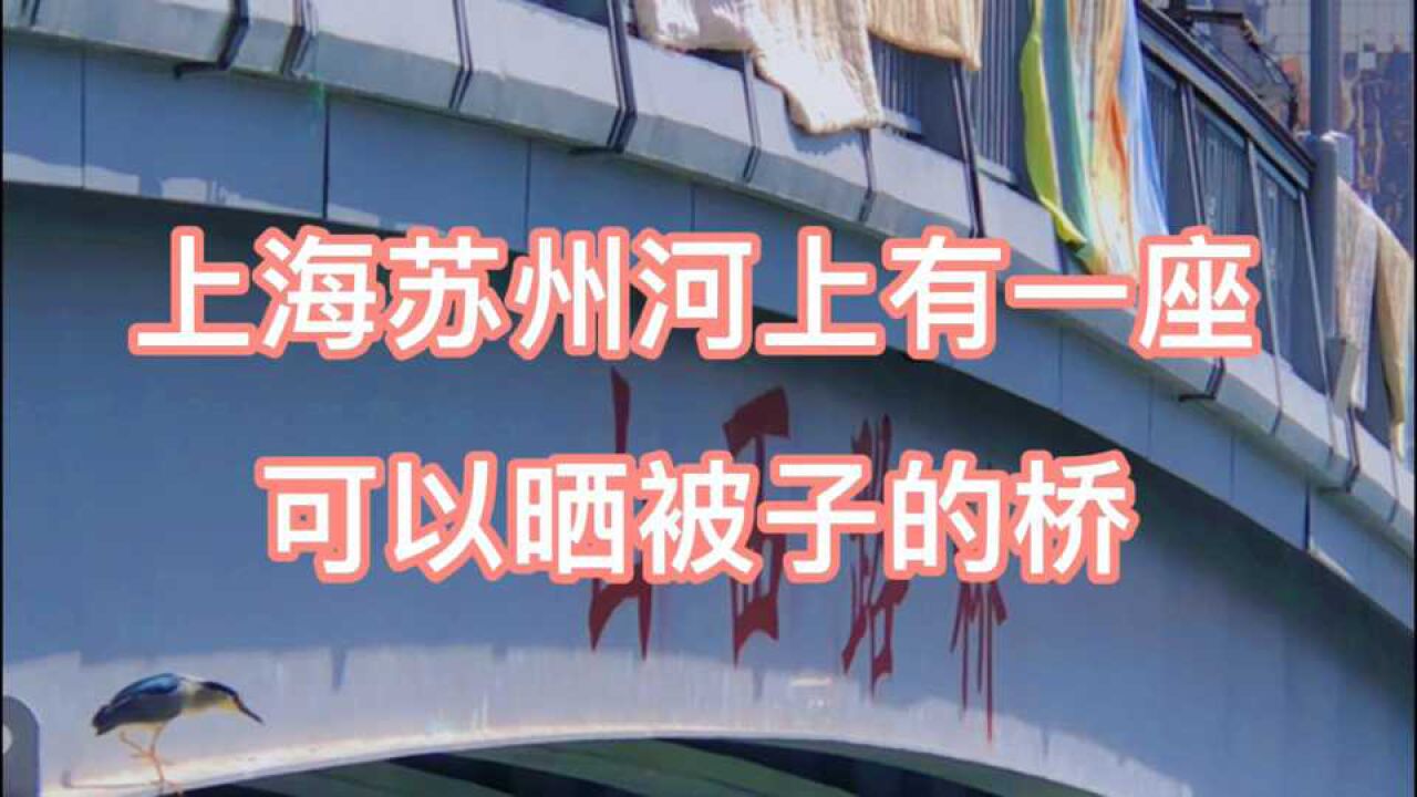上海苏州河上有一座可以“晒被子”的桥:山西路桥