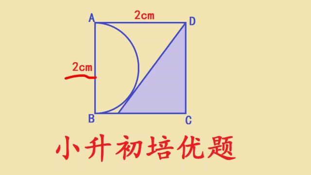 南京某名校小升初考试题 求阴影部分面积