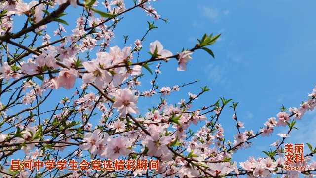 昌河中学学生会竞选精彩瞬间【高一六】