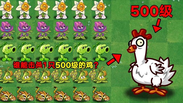 庄先森解说:假如一只鸡有500级!哪些植物能击败它?