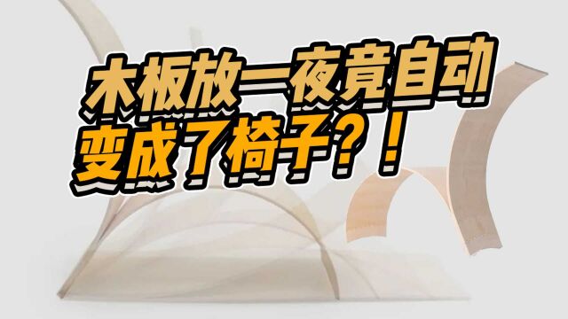 一块板放一夜竟自动变成了椅子!德国人设计的这个木板有点自主能力在身上的!