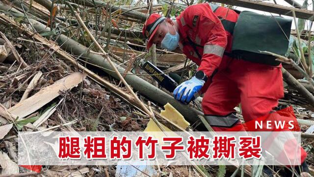 直击东航客机坠毁现场:大片残骸深插地底,600人连夜搜索1样东西