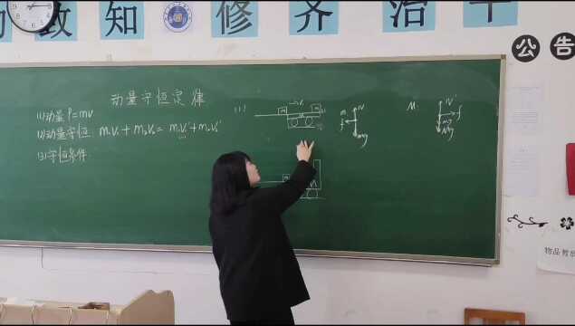 理学部2021级物理学专业杨一帆动量守恒定律