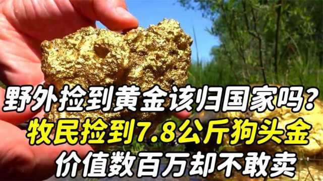 野外捡到黄金该归个人吗?牧民捡到特大狗头金,价值百万却不敢卖