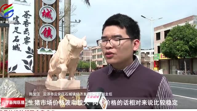 云浮:壮大肉牛养殖产业 推动镇域经济发展