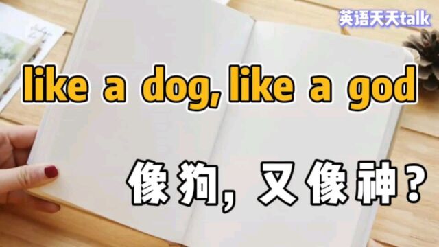 英语“like a dog, like a god”,到底啥意思呢?