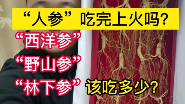 人参吃完上火吗?西洋参林下参野山参该如何吃才不上火?