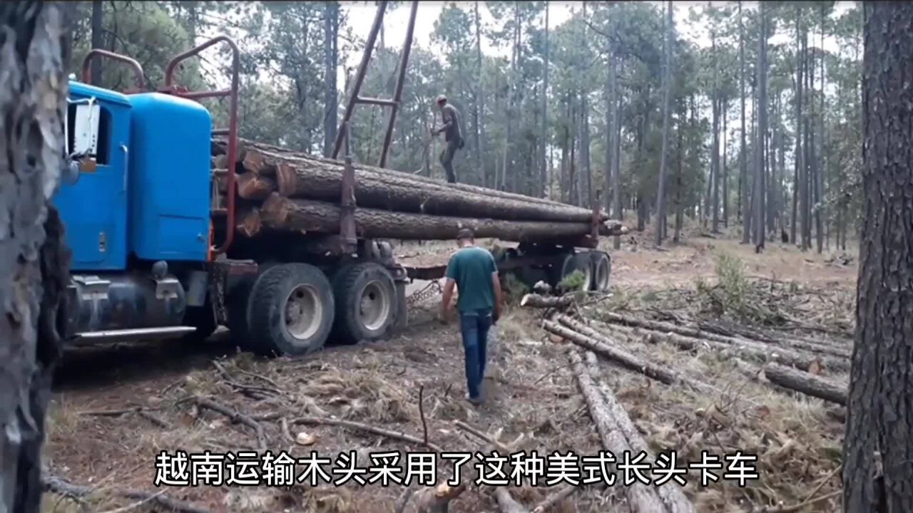 不同国家拉木头的车子,国产单缸拖拉机表现出色,越南车最差