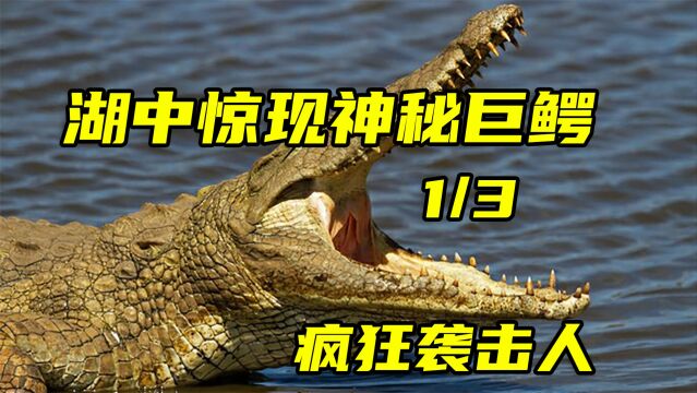 湖中惊现食人巨鳄疯狂袭击岸边居民.恐怖食人鳄鱼入侵小镇,