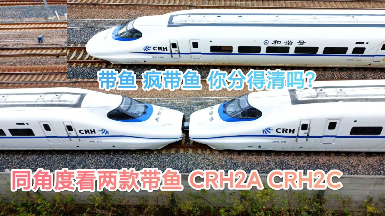 同角度看带鱼和疯带鱼,和谐号crh2a crh2c 你分得清吗?