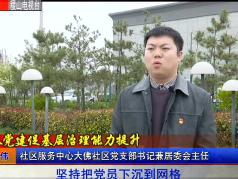 抓党建促基层治理能力提升专访——清河镇七级村 社区服务中心大佛社区