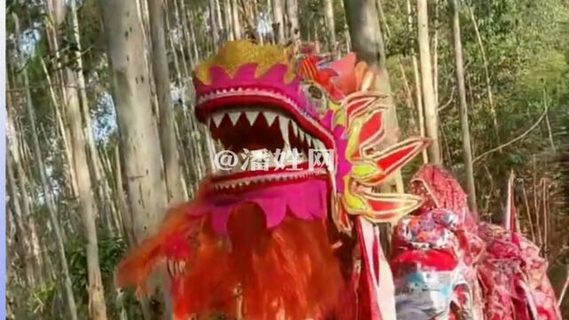 潘氏宗祠“旺龙”习俗