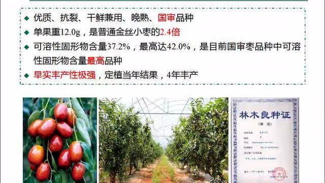 共战疫情 科技兴农——“林业保护发展云讲堂”开讲