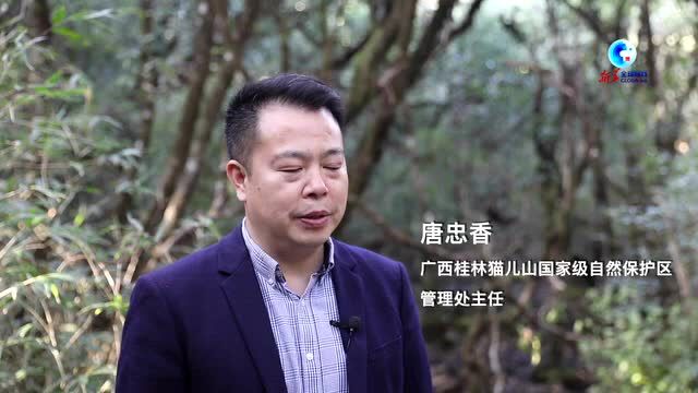 全球连线|一条著名中国河流的绿色新生