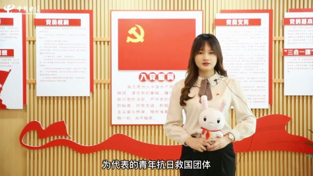 中国电信柳州分公司《百年团史青年说》第二期 青春凯歌