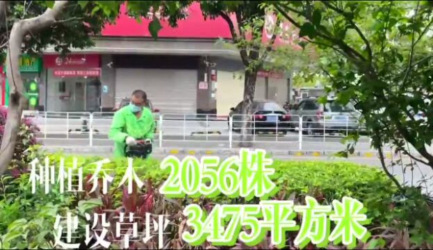 【视频】世界地球日,东莞常平城管在行动