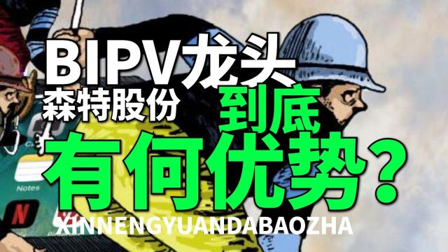 为何隆基股份会看上它?BIPV龙头森特股份,究竟有何独特优势?