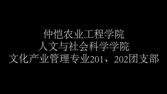 活力在基层 | 仲恺农业工程学院文化产业管理201、202团支部