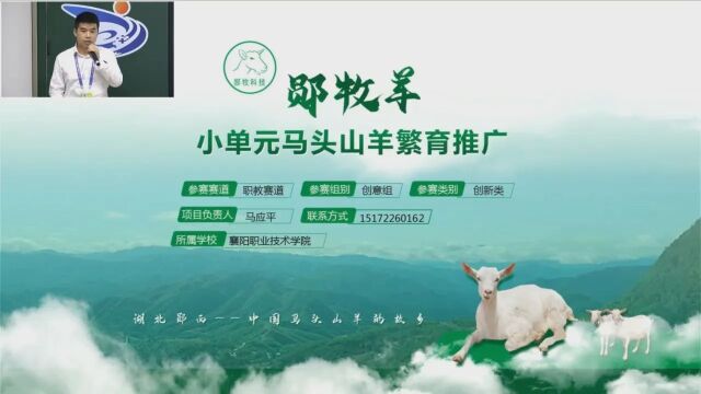 银奖:郧牧羊——小单元马头山羊繁育推广(襄阳职业技术学院)