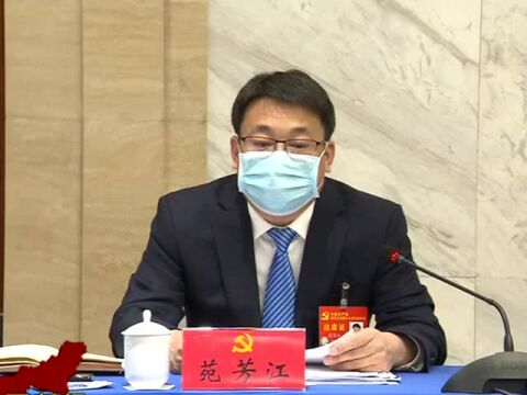 省第十三次党代会鸡西代表团审议大会工作报告 张巍 王一新与我市代表一同审议