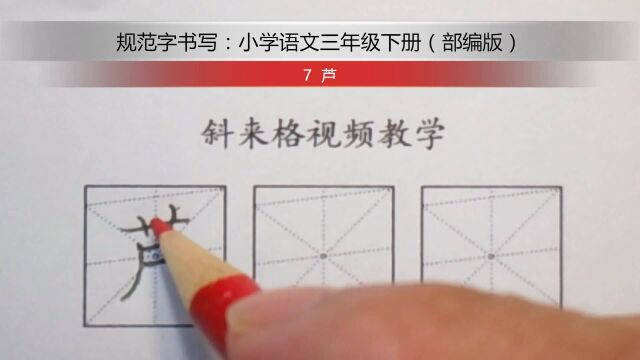 每日一字:7 芦(三年级下册)