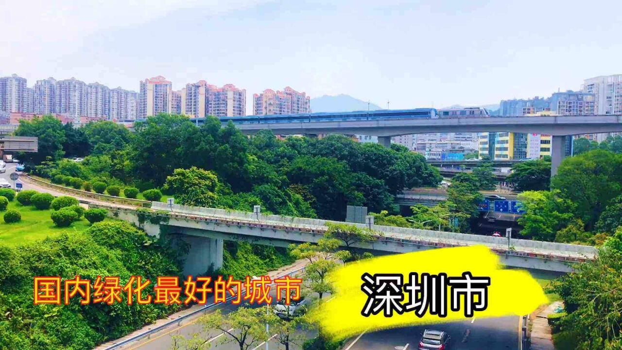 深圳是座花园城市,它的绿化是全国最好的,对此你怎么看?