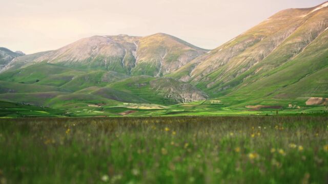 唯美意境生机勃勃的内蒙古草原旅游打卡必去点山脉风景绝佳