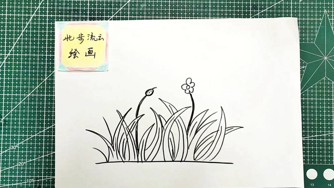 画一幅花草丛简笔画绘画