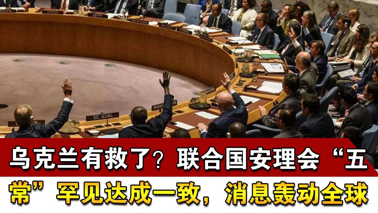 乌克兰有救了?联合国安理会“五常”罕见达成一致,消息轰动全球