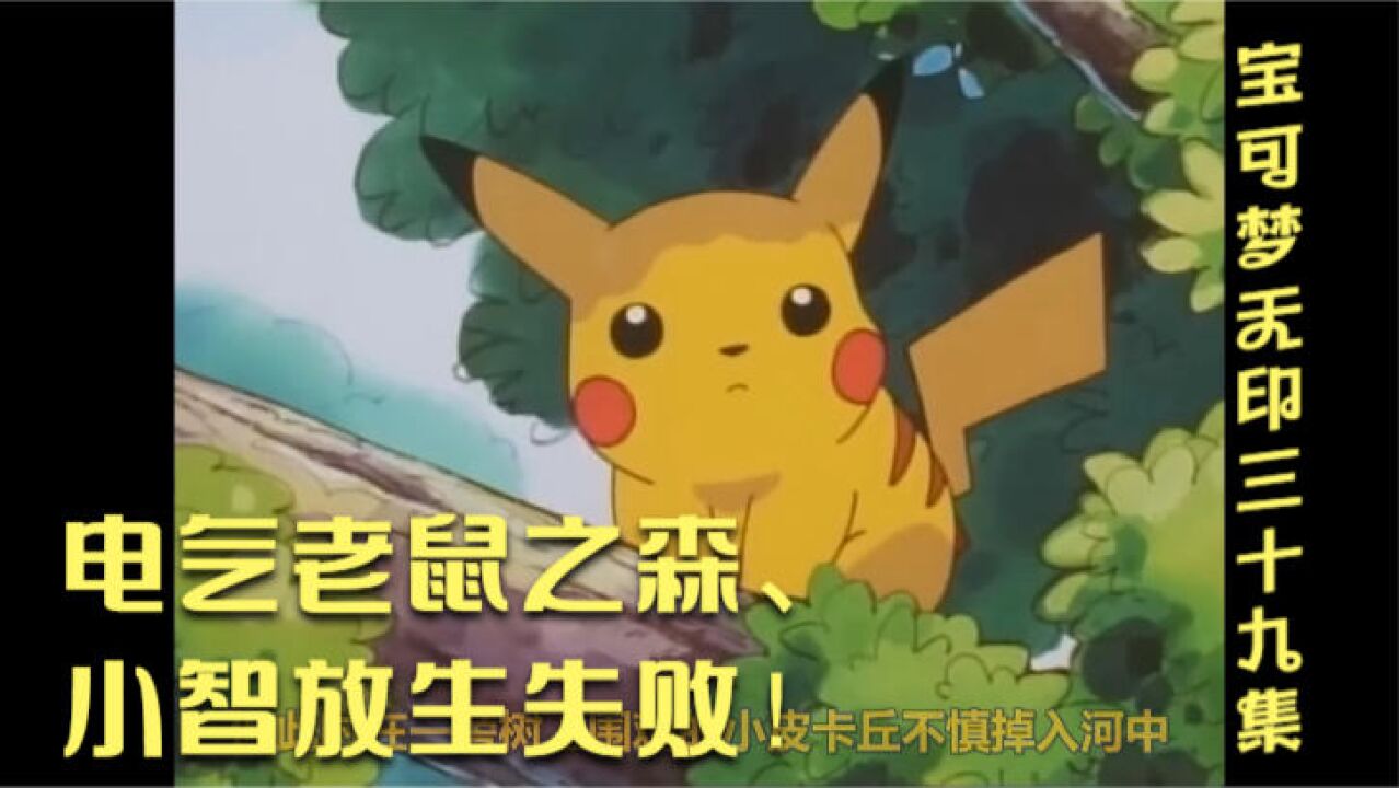 电气老鼠之森,小智放生失败!