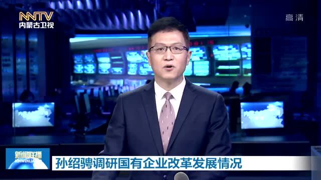 孙绍骋调研国有企业改革发展情况