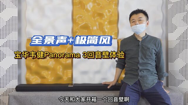 宝华韦健Panorama 3回音壁